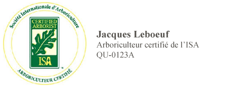 Certification arboriculture de Jacques Leboeuf